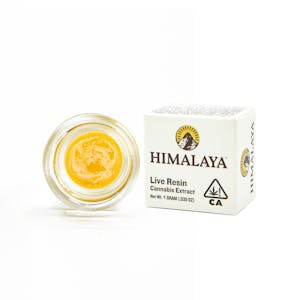 Live Resin Terp Sauce 1g