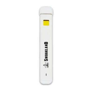 One Rechargeable Vape 1g