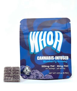 Single Gummy 100mg