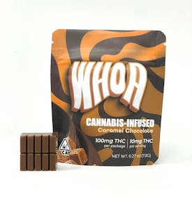 Chocolate Bite 100mg