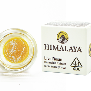 Chemdawg 1g Live Resin