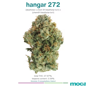MOCA Hangar 272