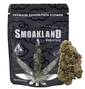 Black Sungrown Flower 8o
