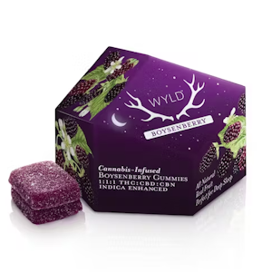 WYLD 100mg Boysenberry