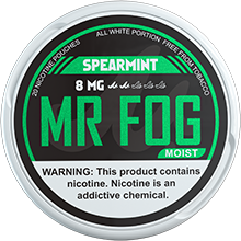 Mr Fog Moist Nicotine 6 Pouches Spearmint