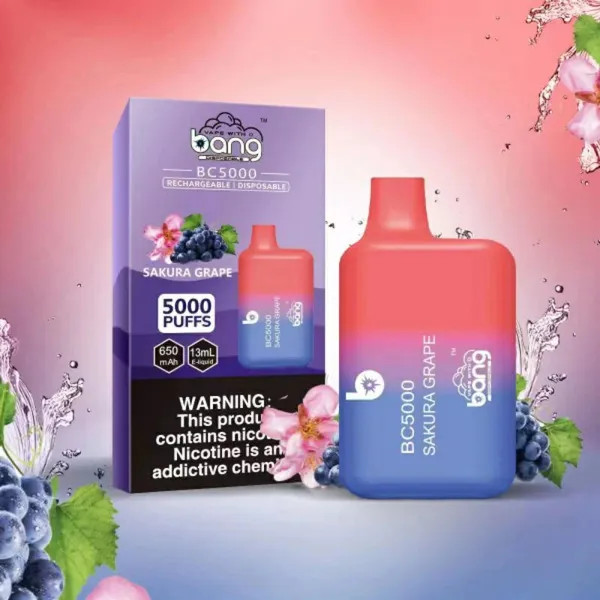 Bang BC5000 5000 Puffs Disposable Vape – 20 Flavors, Mesh Coil, 13ml E-liquid, Type-C Rechargeable - Image 13