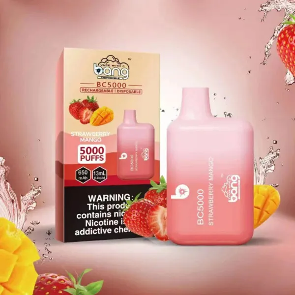 Bang BC5000 5000 Puffs Disposable Vape – 20 Flavors, Mesh Coil, 13ml E-liquid, Type-C Rechargeable - Image 4