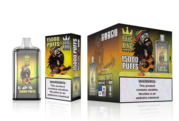 Bang King 15000 Puffs Disposable Vape – Mesh Coil, 25ml E-liquid, Type-C Rechargeable - Image 7