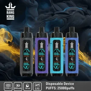 Bang King 25000 Puffs Disposable Vape – 30ml, 0.6Ω Mesh, Big Screen, Type-C Rechargeable
