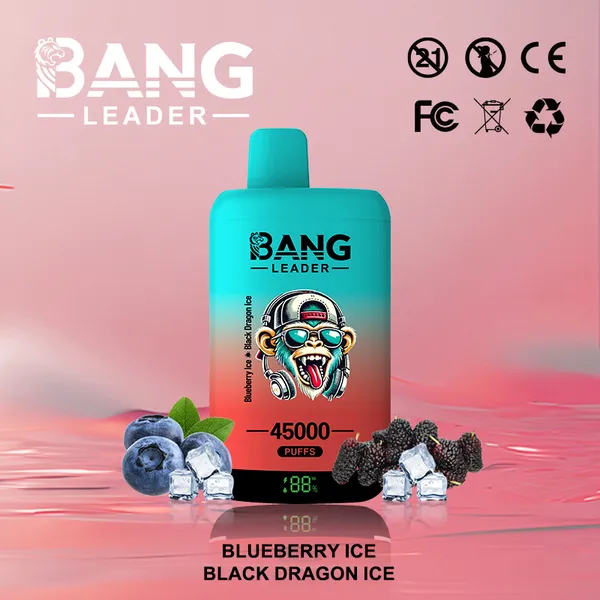 Bang Leader 45000 Puffs Dual Flavors Disposable Vape – Ultimate Long-Lasting Device - Image 4