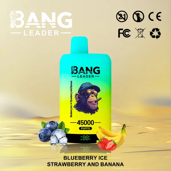 Bang Leader 45000 Puffs Dual Flavors Disposable Vape – Ultimate Long-Lasting Device - Image 13