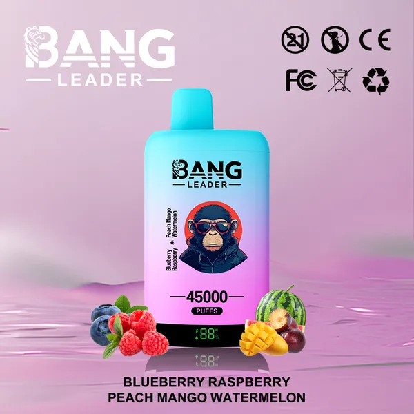 Bang Leader 45000 Puffs Dual Flavors Disposable Vape – Ultimate Long-Lasting Device - Image 5