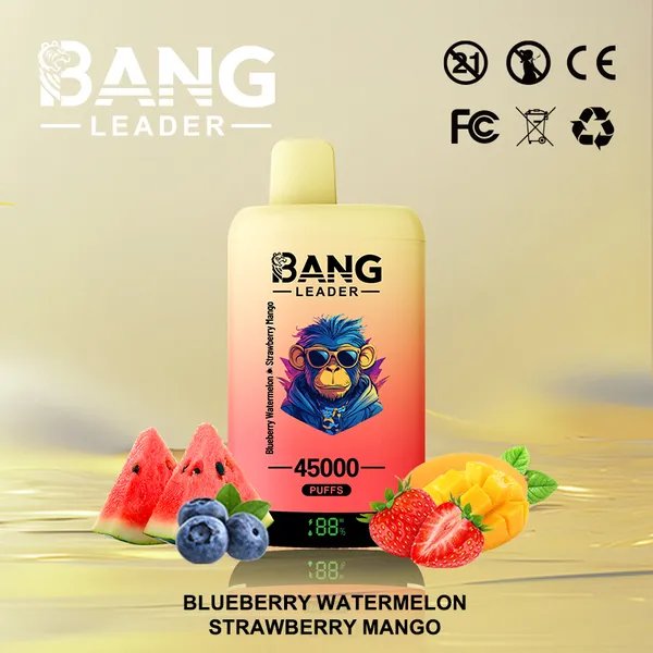 Bang Leader 45000 Puffs Dual Flavors Disposable Vape – Ultimate Long-Lasting Device - Image 6