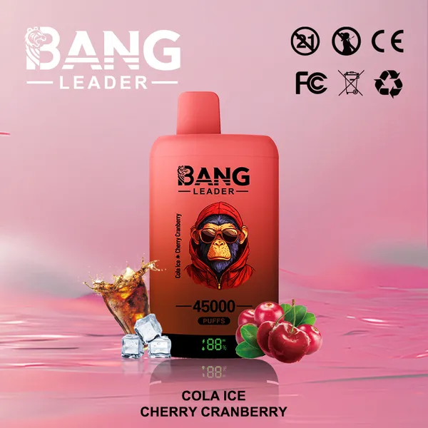 Bang Leader 45000 Puffs Dual Flavors Disposable Vape – Ultimate Long-Lasting Device - Image 7