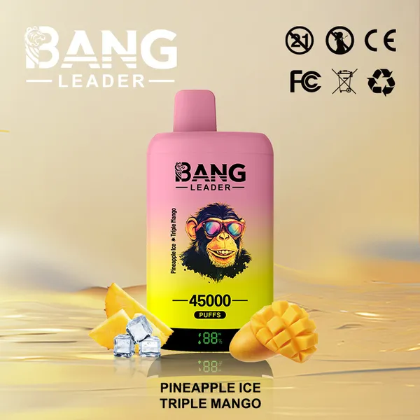 Bang Leader 45000 Puffs Dual Flavors Disposable Vape – Ultimate Long-Lasting Device - Image 8