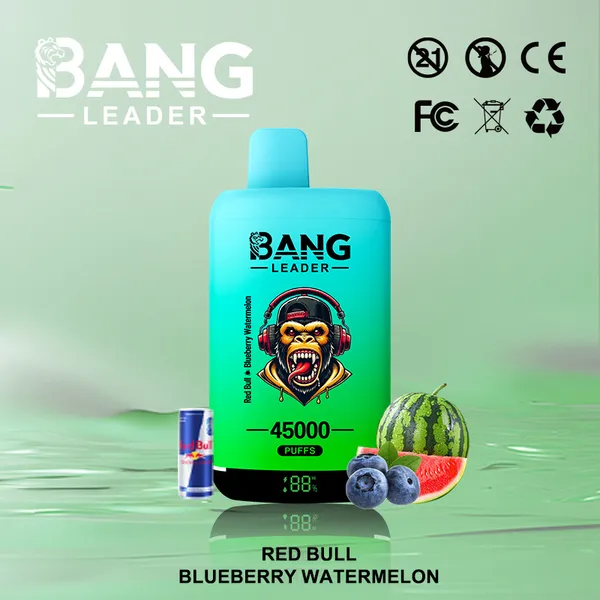 Bang Leader 45000 Puffs Dual Flavors Disposable Vape – Ultimate Long-Lasting Device - Image 9