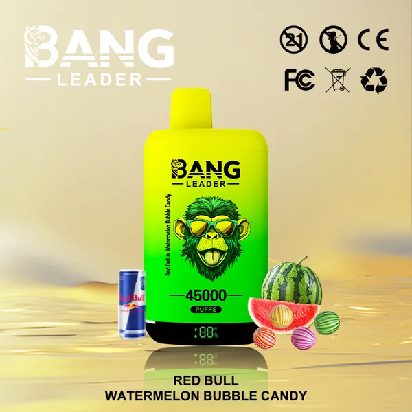 Bang Leader 45000 Puffs Dual Flavors Disposable Vape – Ultimate Long-Lasting Device - Image 10