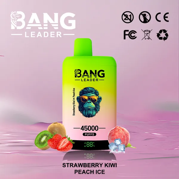 Bang Leader 45000 Puffs Dual Flavors Disposable Vape – Ultimate Long-Lasting Device - Image 11