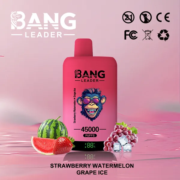 Bang Leader 45000 Puffs Dual Flavors Disposable Vape – Ultimate Long-Lasting Device - Image 2