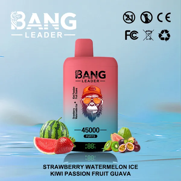 Bang Leader 45000 Puffs Dual Flavors Disposable Vape – Ultimate Long-Lasting Device - Image 12