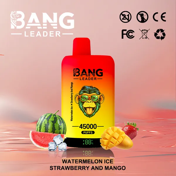 Bang Leader 45000 Puffs Dual Flavors Disposable Vape – Ultimate Long-Lasting Device - Image 3
