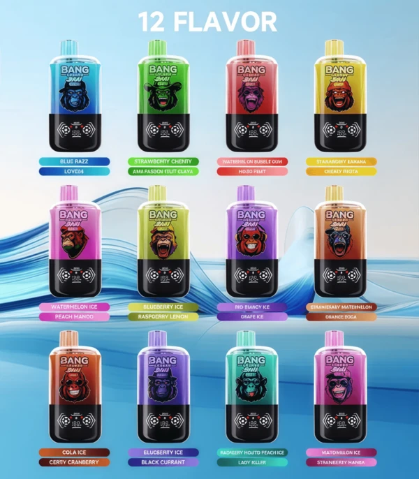 Bang Leader Stoll 120K Dual Flavors | Ultimate 120,000 Puffs Powerful Disposable Vape - Image 2