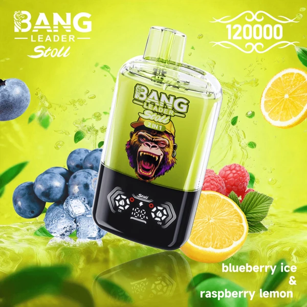 Bang Leader Stoll 120K Dual Flavors | Ultimate 120,000 Puffs Powerful Disposable Vape - Image 5