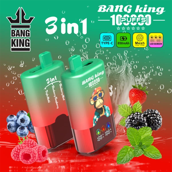 Bang King 100K 3-in-1 Flavors Disposable Vape – Powerful 100,000 Puffs - Image 5