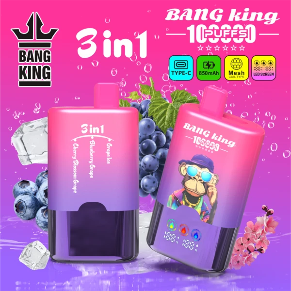 Bang King 100K 3-in-1 Flavors Disposable Vape – Powerful 100,000 Puffs - Image 8