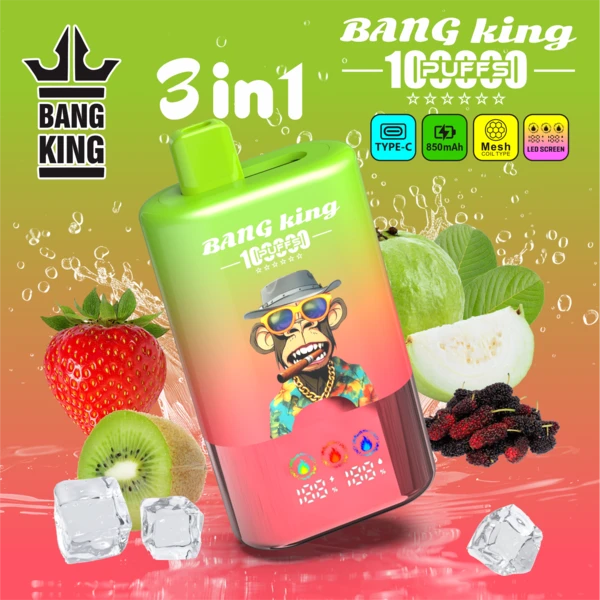 Bang King 100K 3-in-1 Flavors Disposable Vape – Powerful 100,000 Puffs - Image 11