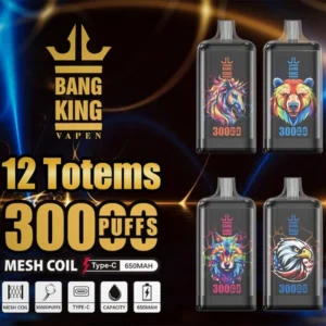 Bang King Crystal 30000 Puffs | 30k Disposable Vape – Best Powerful Mesh Flavor Device