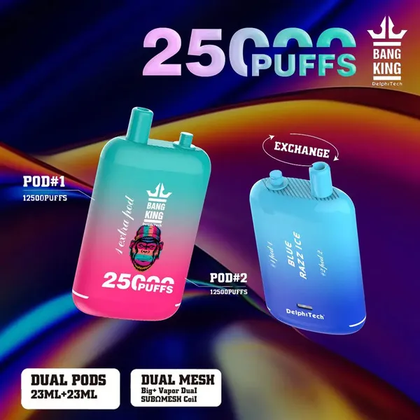 Bang King 25000 Puffs Disposable Vape – Dual Pods 46ml, LCD Screen, Rechargeable Mesh Coil, 12 Flavors