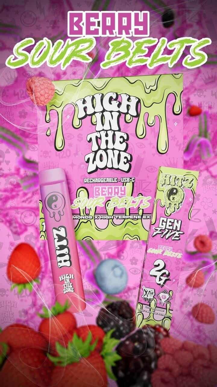 2G Berry Sour Belts Hitz Disposable