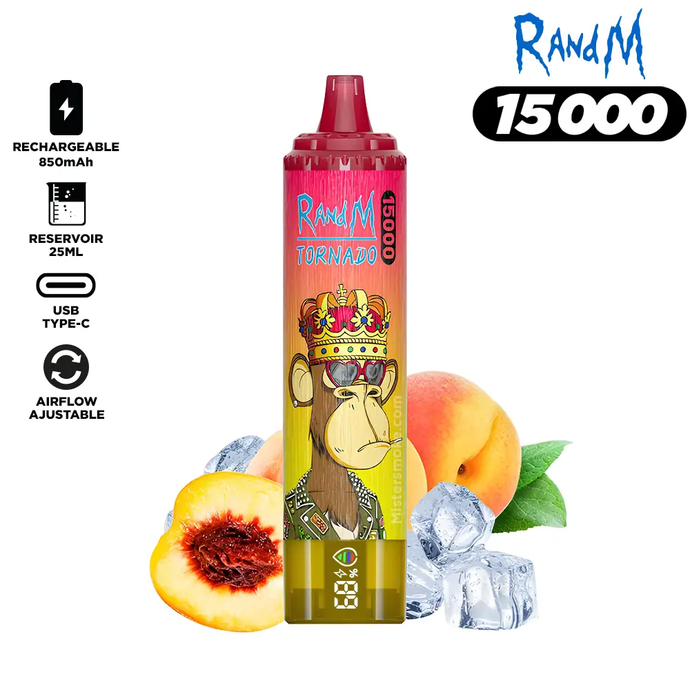 RandM Tornado 15000 Puffs Bulk Buy Rechargeable Disposable Vape Wholesale - Image 17