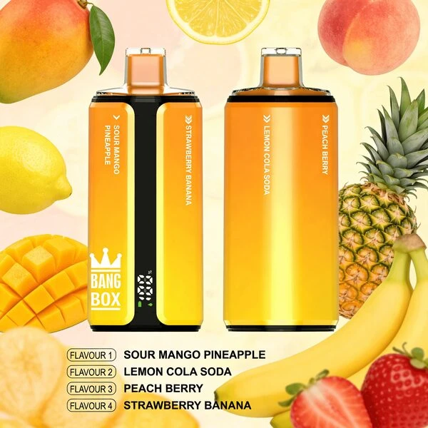 Bang Box 160K 4-in-1 Flavors Disposable Vape | 160,000 Puffs – Ultimate Multi-Flavor Power - Image 6