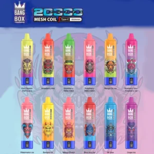 Bang Box 20K Disposable Vape | 20,000 Puffs – Ultimate Pure Fruit Power