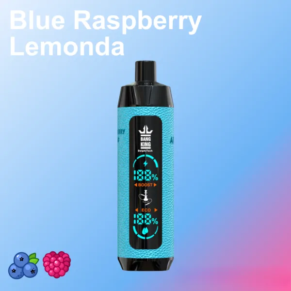 Bang King 25000 Puffs Disposable Vape – 30ml, 0.6Ω Mesh, Big Screen, Type-C Rechargeable - Image 3