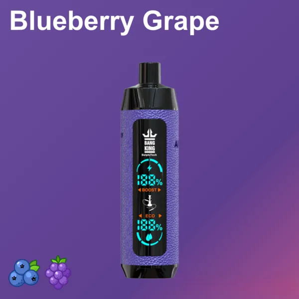 Bang King 25000 Puffs Disposable Vape – 30ml, 0.6Ω Mesh, Big Screen, Type-C Rechargeable - Image 4