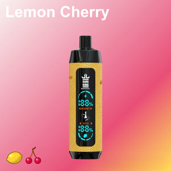 Bang King 25000 Puffs Disposable Vape – 30ml, 0.6Ω Mesh, Big Screen, Type-C Rechargeable - Image 8