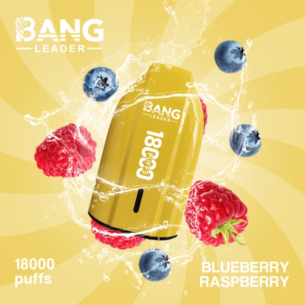 Bang Leader 18K Disposable Vape | 18,000 Puffs – Powerful Mesh Coil Flavor - Image 2