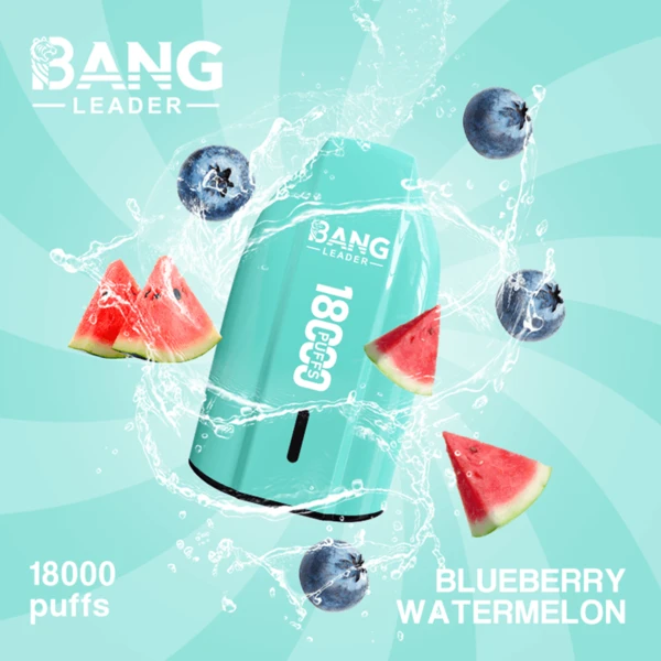 Bang Leader 18K Disposable Vape | 18,000 Puffs – Powerful Mesh Coil Flavor - Image 3