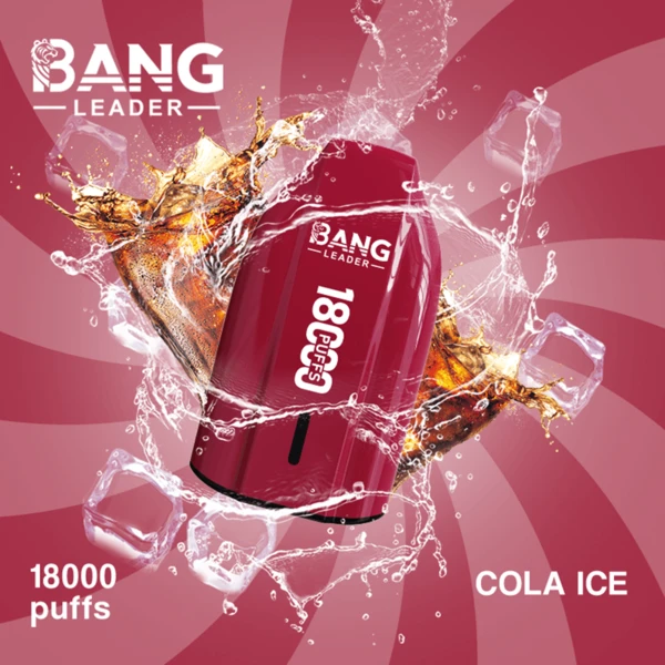 Bang Leader 18K Disposable Vape | 18,000 Puffs – Powerful Mesh Coil Flavor - Image 4