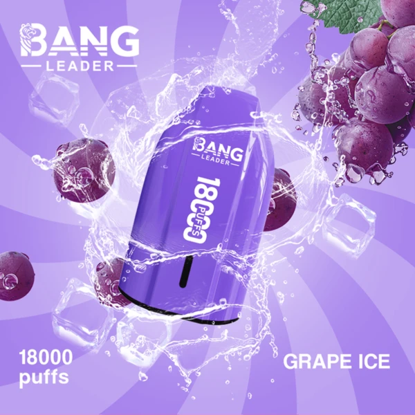 Bang Leader 18K Disposable Vape | 18,000 Puffs – Powerful Mesh Coil Flavor - Image 5