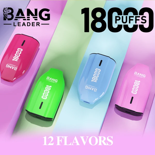 Bang Leader 18K Disposable Vape | 18,000 Puffs – Powerful Mesh Coil Flavor