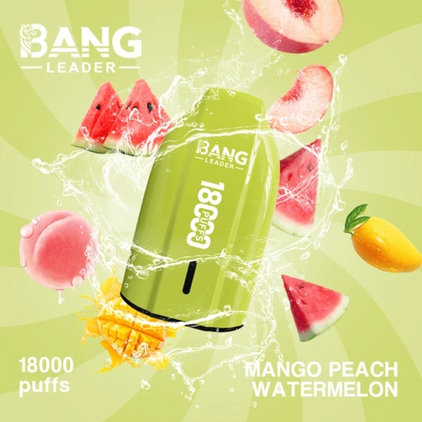 Bang Leader 18K Disposable Vape | 18,000 Puffs – Powerful Mesh Coil Flavor - Image 6