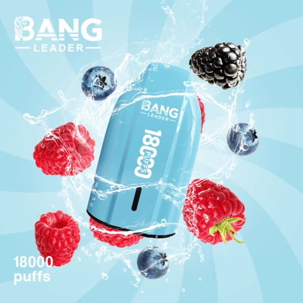 Bang Leader 18K Disposable Vape | 18,000 Puffs – Powerful Mesh Coil Flavor - Image 7