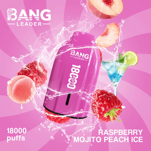 Bang Leader 18K Disposable Vape | 18,000 Puffs – Powerful Mesh Coil Flavor - Image 8