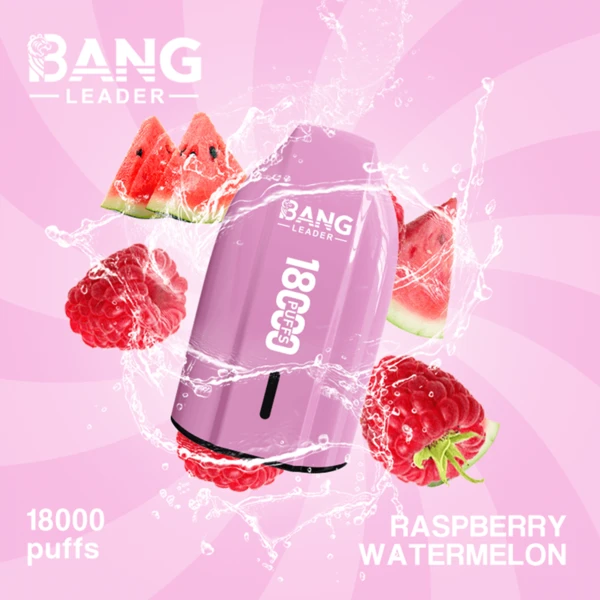Bang Leader 18K Disposable Vape | 18,000 Puffs – Powerful Mesh Coil Flavor - Image 9