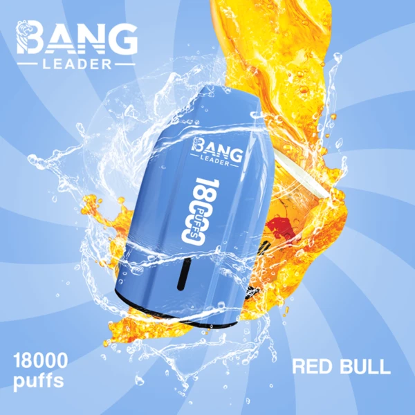 Bang Leader 18K Disposable Vape | 18,000 Puffs – Powerful Mesh Coil Flavor - Image 10
