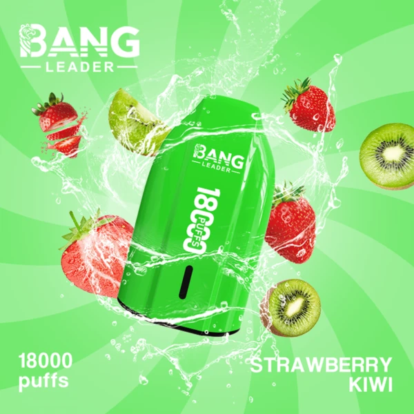 Bang Leader 18K Disposable Vape | 18,000 Puffs – Powerful Mesh Coil Flavor - Image 11